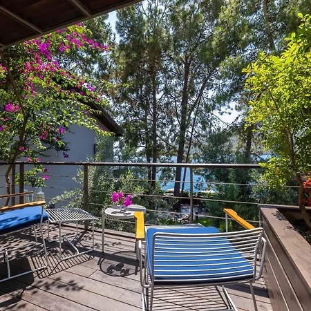 Miamai Boutique - Adult Only 3*