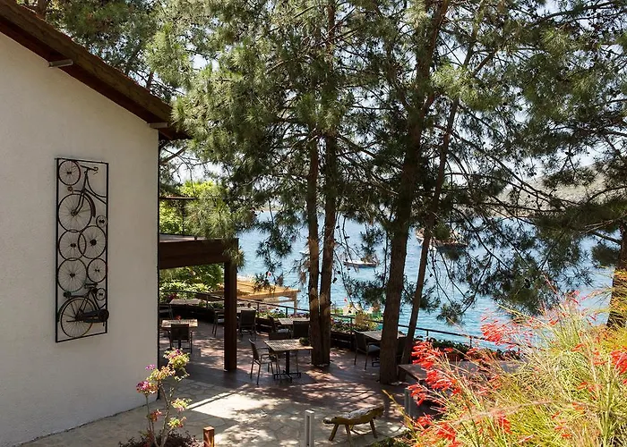 Miamai Boutique - Adult Only 3* 보즈부른