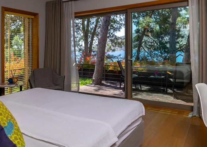 Miamai Boutique - Adult Only 3* 보즈부른