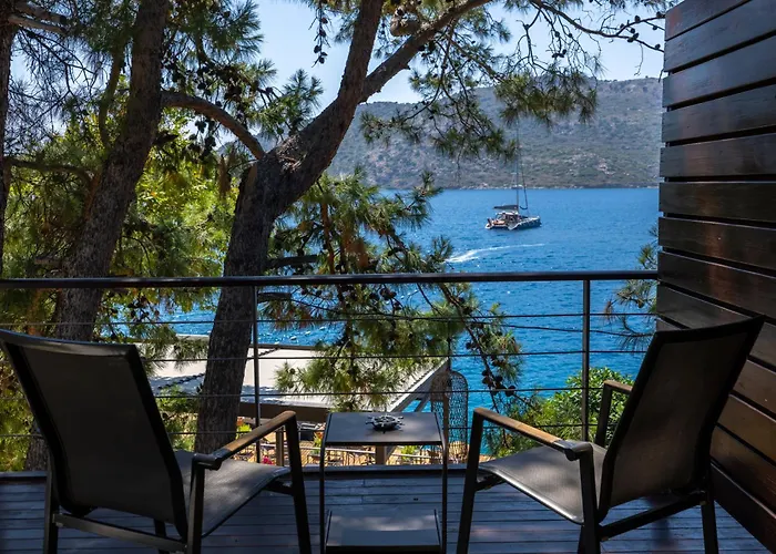 Miamai Boutique - Adult Only 보즈부른