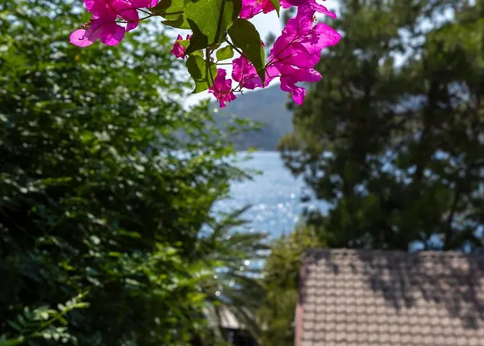 Miamai Boutique - Adult Only