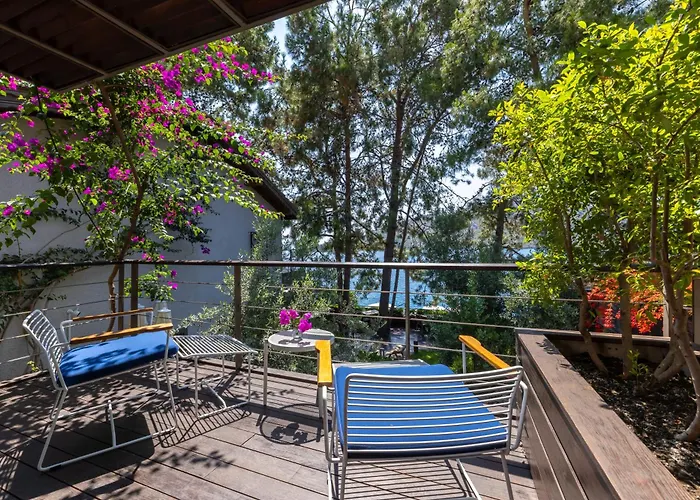 Miamai Boutique - Adult Only 3*